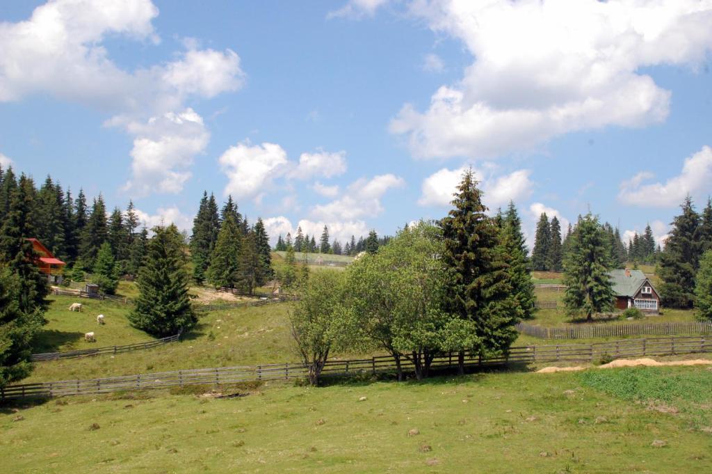 Cabana Motilor Мэришел Номер фото