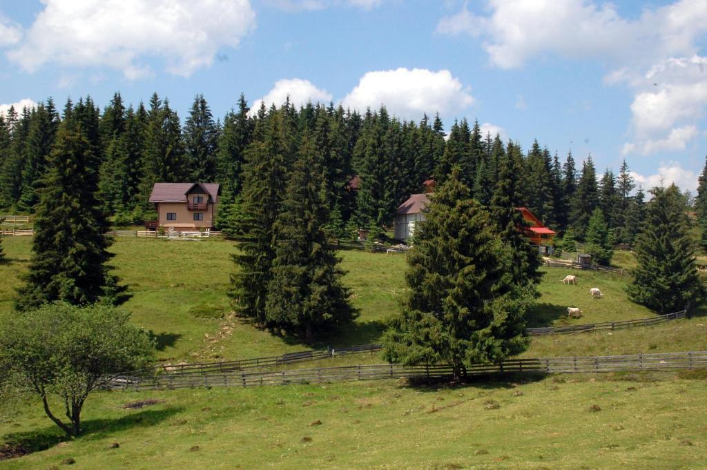 Cabana Motilor Мэришел Номер фото