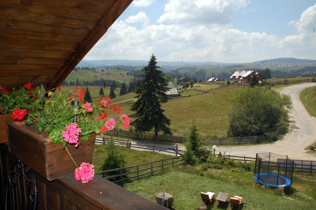 Cabana Motilor Мэришел Номер фото